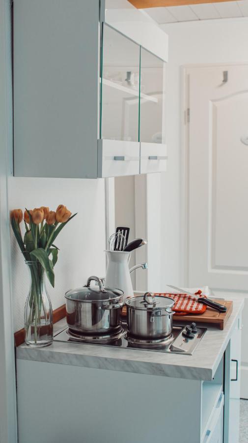 Villa Herkules - Privates Apartment Am Waldrand Mit Smart Tv Und Kostenlosen Parkplaetzen Кассель Экстерьер фото